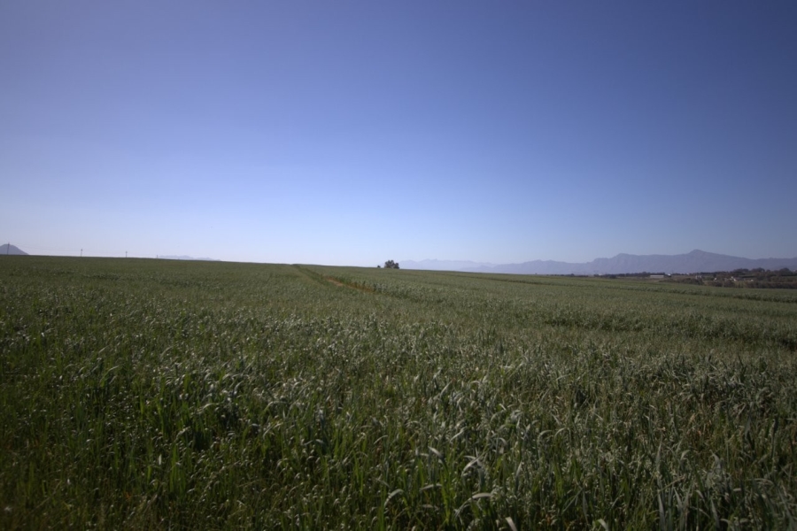 0 Bedroom Property for Sale in Paarl Rural Western Cape